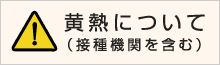 黄熱について