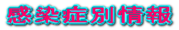 �����Ǖʏ�� 