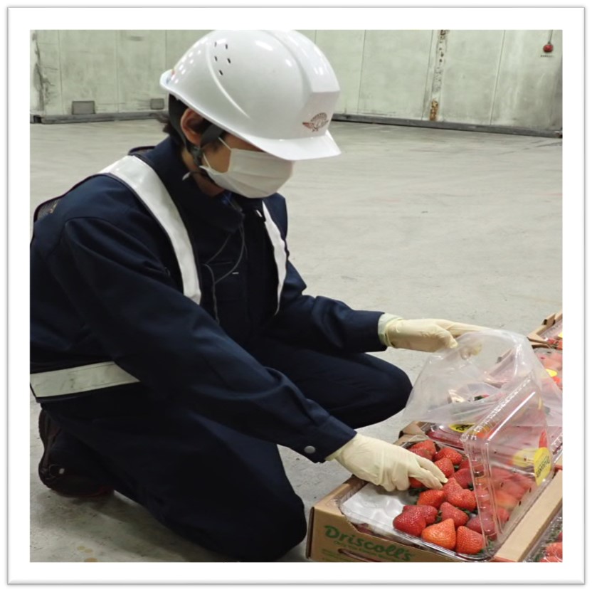 関西空港検疫所食品監視課輸入食品の届出手続きについて採用情報（食品衛生監視員）
