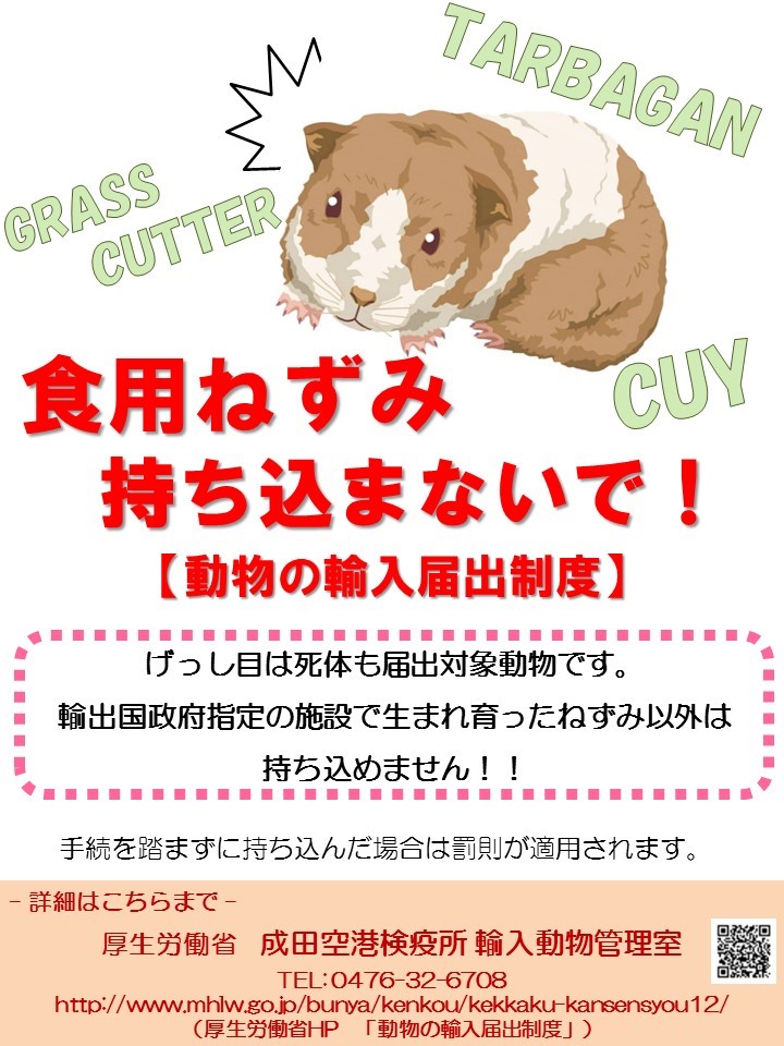 食用ねずみ持ち込まないで！（日本語版）
