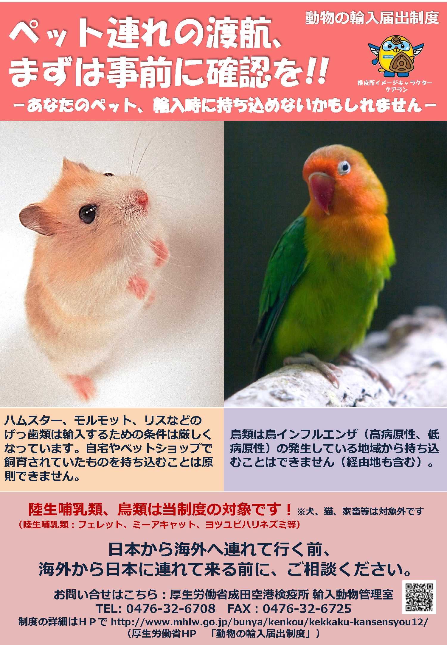 ペット連れの渡航、まずは事前に確認を！