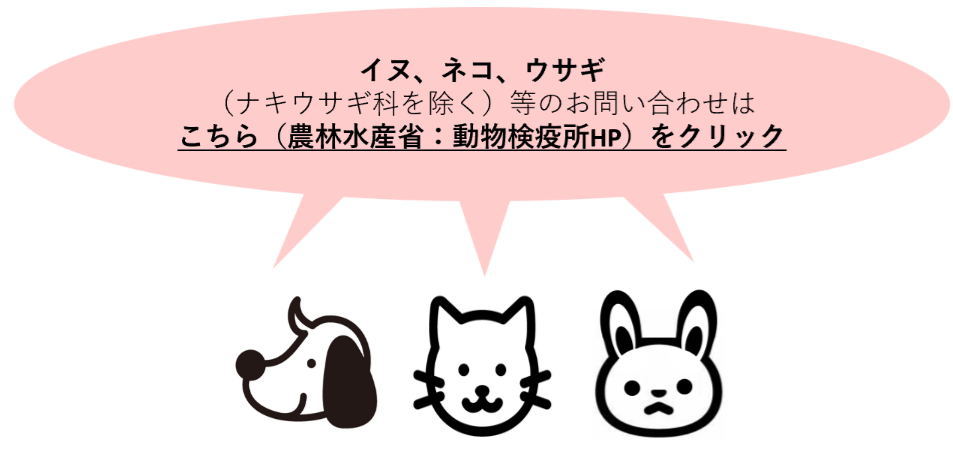 イヌネコウサギは、動物検疫所へ相談