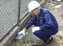 ねずみ族の調査