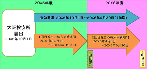 計画輸入実績報告イメージ：有効期間１年の場合