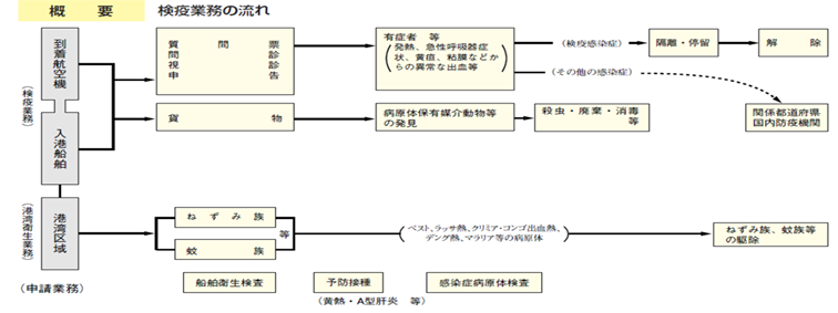 検疫業務の流れ