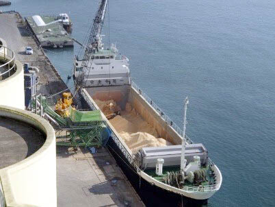 輸入穀物の入港