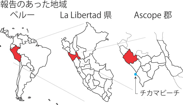 図,報告のあった地域,ペルー,La Libertad県,Ascope群,チカマビーチ