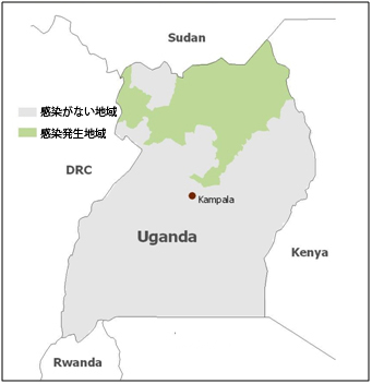 図.黄熱感染のみられるウガンダの地域。2010年12月30日