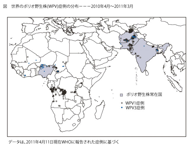 110524ポリオ図.jpg