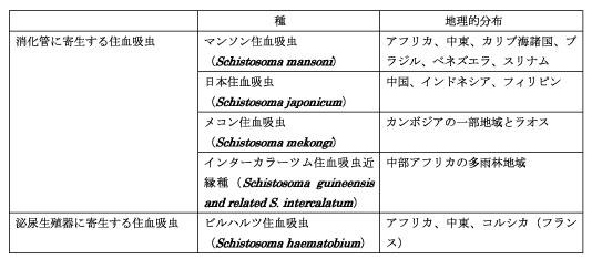 住血吸虫科