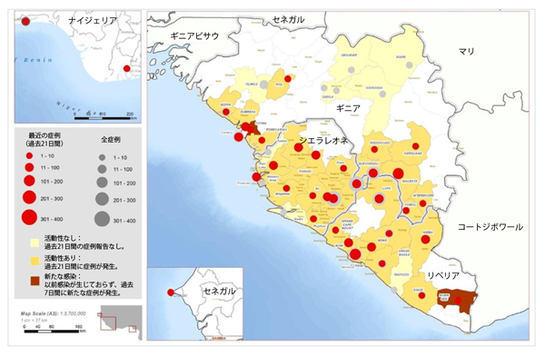 図．ギニア、リベリア、マリ、シエラレオネにおけるエボラ出血熱の新規および累積の診断確定および可能性の高い患者数の分布図