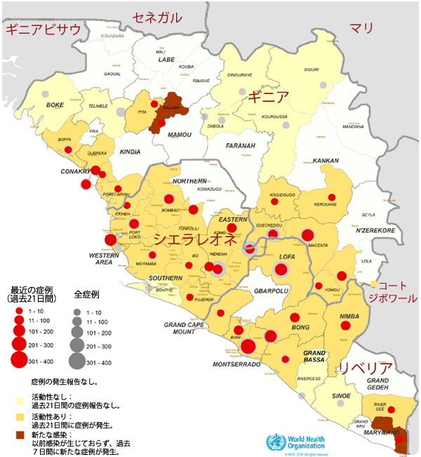 図,ギニア、リベリア、シエラレオネにおける新規症例数および総数の地理的分布