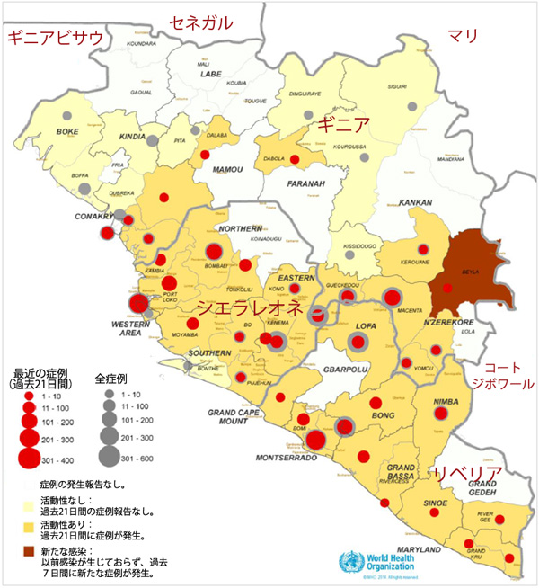 図4、広範囲に及ぶ深刻な感染の伝播が生じている国における症例の位置