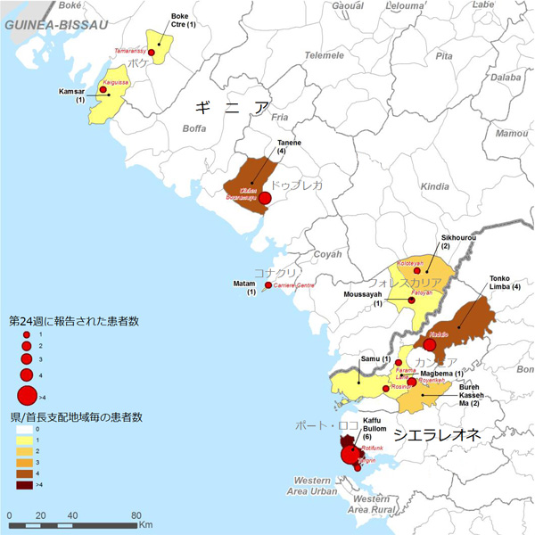 図．確定患者が報告された地図上の分布図