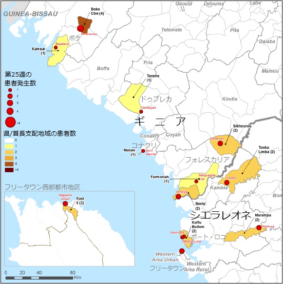 図．確定患者が報告された地図上の分布図