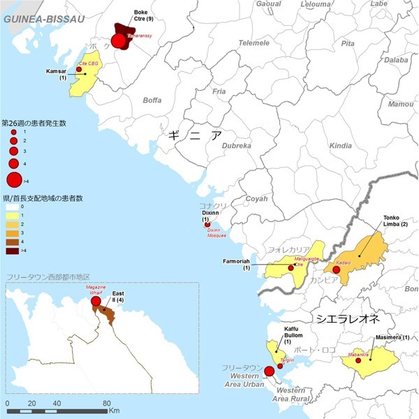 図．確定患者が報告された地図上の分布図