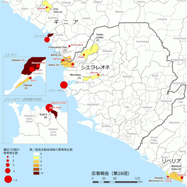 図．確定患者が報告された地図上の分布図