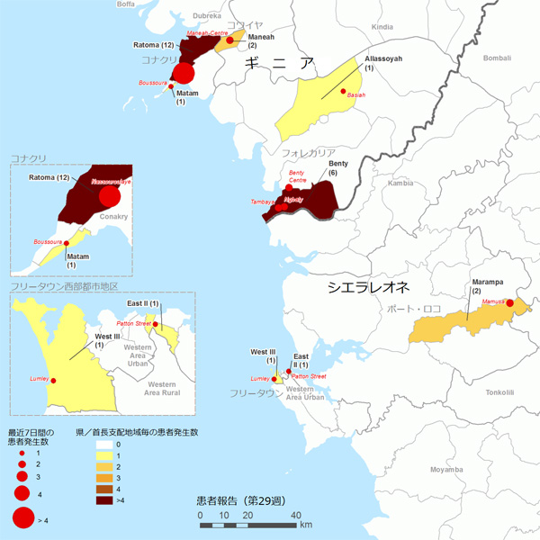 図．確定患者が報告された地図上の分布図