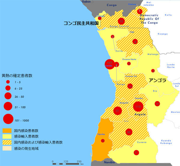 図．黄熱の確定診断患者の分布図