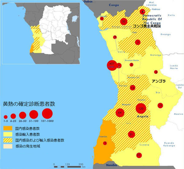 図．黄熱の確定診断患者の分布図