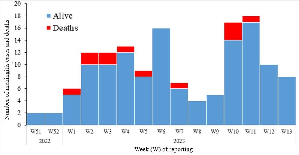 ブドウ球菌性髄膜炎患者の見通し