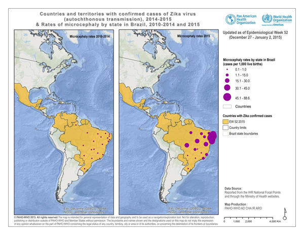 160120_PAHO_Zika_Figure.jpg